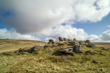 019 Arms Tor 07-1002235 PS Adj Upload.JPG