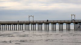 Week 9 - Horizontal 1.JPG Week 9 - Horizontal 1.JPG