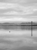 Week 9 - Horizontal 3.JPG Week 9 - Horizontal 3.JPG