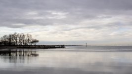 Week 9 - Horizontal 4.JPG Week 9 - Horizontal 4.JPG