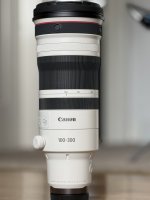 IMG_6290.JPG IMG_6290.JPG