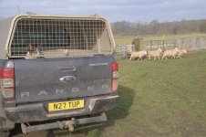 _7817534.jpg _7817534.jpg