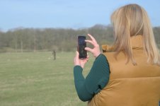 _7817606.jpg _7817606.jpg