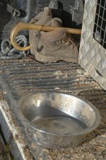 _7817729.jpg _7817729.jpg