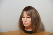 Reflector High.jpg Reflector High.jpg