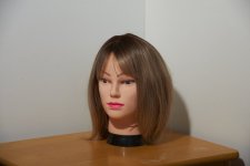 Reflector Lowish.jpg Reflector Lowish.jpg