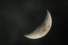 DSC_2377-Enhanced-NR-Edit-2.jpg DSC_2377-Enhanced-NR-Edit-2.jpg