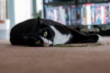 Week 9 - Horizontal.jpg