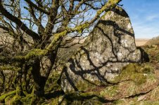 013 The Buller Stone 01-1991869 PS Adj Upload.JPG