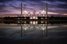 IMG_0469.jpeg IMG_0469.jpeg