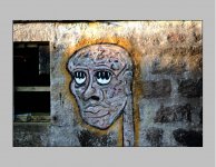 The face on the farm..jpg