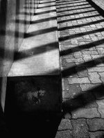 Week 10 - Patterns 3.JPG Week 10 - Patterns 3.JPG