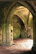 Roche Abbey Arches Bronica.jpg