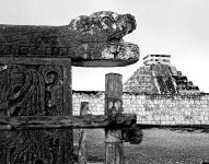 1742043682914.jpeg 1742043682914.jpeg