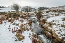 003 Cullever Steps 01-9534 PS Adj Upload.JPG