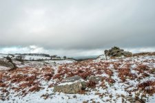 004 Scarey Tor 01-9537 PS Adj Upload.JPG