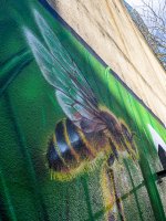 Week 11- Animals 1.JPG