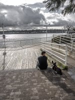 Week 11- Animals 2.JPG