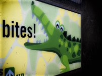 Week 11- Animals 3.JPG