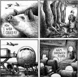 IMG_6023.jpeg IMG_6023.jpeg