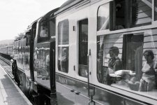 Reflections on a Train Scan.jpg Reflections on a Train Scan.jpg