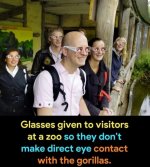 IMG_6038.jpeg IMG_6038.jpeg