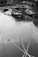 Ropes and Boats PTF 2 Scan.jpg Ropes and Boats PTF 2 Scan.jpg