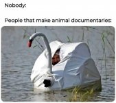 IMG_6044.jpeg IMG_6044.jpeg