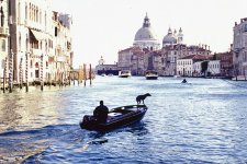 Venice Dog in Boat Scan.jpg Venice Dog in Boat Scan.jpg