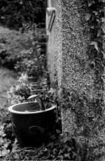 Gorlitz.jpg Gorlitz.jpg