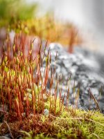 Week 12 - Broken 3.JPG Week 12 - Broken 3.JPG