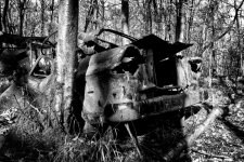 Non-Runner for Sale.JPG