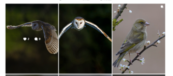 Screenshot 2025-03-27 125746.png