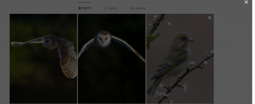 Screenshot 2025-03-27 125816.png