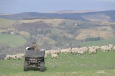 _7812734.jpg _7812734.jpg