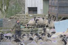 _7812739.jpg _7812739.jpg