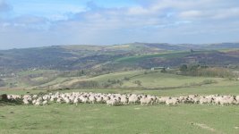 _7817826.jpg _7817826.jpg