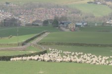 _7817858.jpg _7817858.jpg