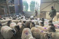 _7817878.jpg _7817878.jpg