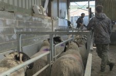 _7817940.jpg _7817940.jpg