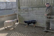 _7817973.jpg _7817973.jpg