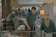 _7818051.jpg _7818051.jpg