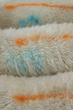 _7818084.jpg _7818084.jpg