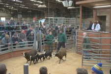 _7818098.jpg _7818098.jpg