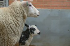 _7818124.jpg _7818124.jpg