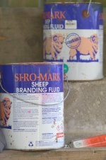 _7812745.jpg _7812745.jpg