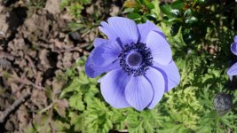 P1002768.JPG P1002768.JPG