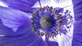 P1060659.jpg P1060659.jpg