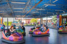 bumper-cars-3.jpg