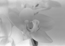 untitled_2 (2).jpg untitled_2 (2).jpg